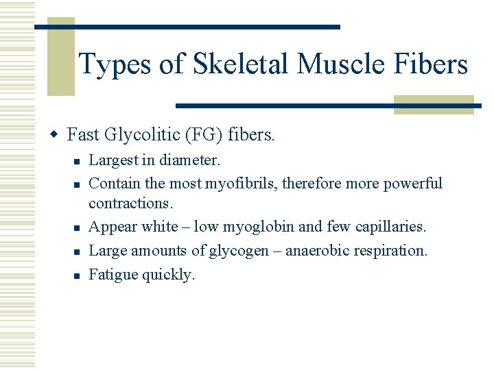 Types of Skeletal Muscle Fibers w Fast Glycolitic (FG) fibers. n n n Largest