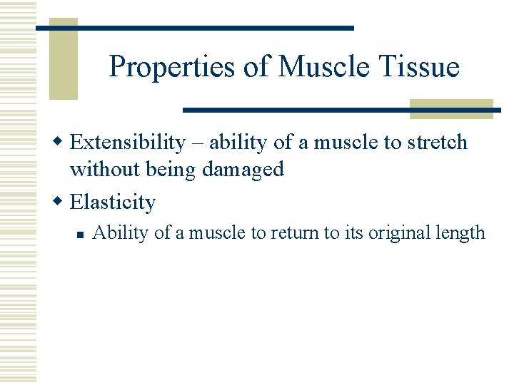 Properties of Muscle Tissue w Extensibility – ability of a muscle to stretch without