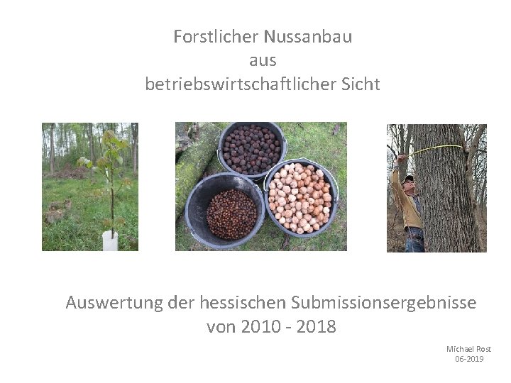 Forstlicher Nussanbau aus betriebswirtschaftlicher Sicht Auswertung der hessischen Submissionsergebnisse von 2010 - 2018 Michael