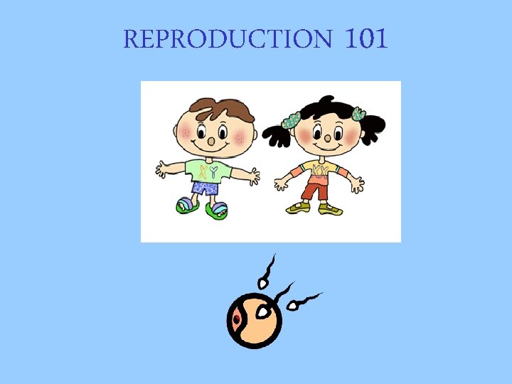 REPRODUCTION 101 