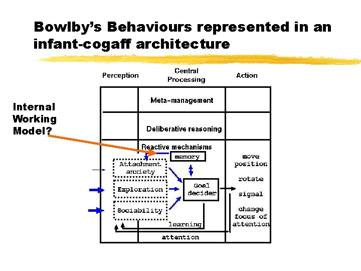 Bowlby’s Behaviours represented in an infant-cogaff architecture Internal Working Model? 