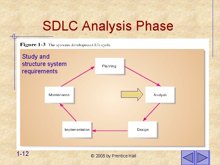 SDLC Analysis Phase Study and structure system requirements 1 -12 © 2005 by Prentice