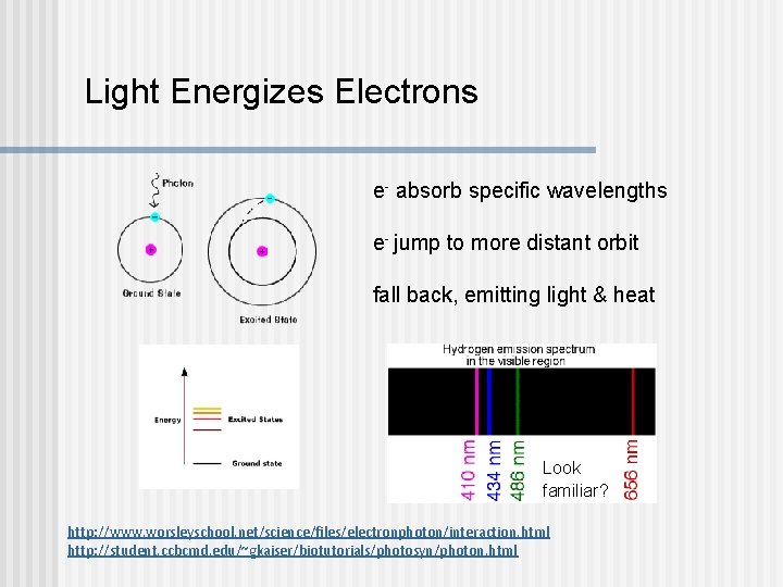 Light Energizes Electrons e- absorb specific wavelengths e- jump to more distant orbit fall Light Energizes Electrons e- absorb specific wavelengths e- jump to more distant orbit fall