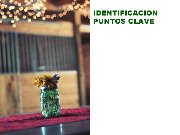 IDENTIFICACION PUNTOS CLAVE 