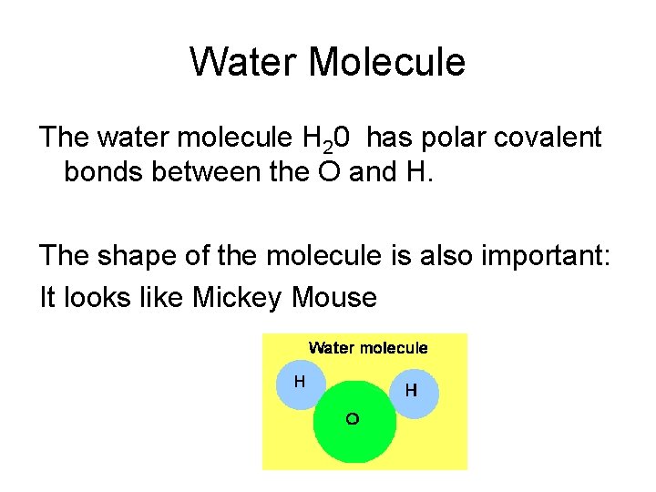 Water Molecule The water molecule H 20 has polar covalent bonds between the O