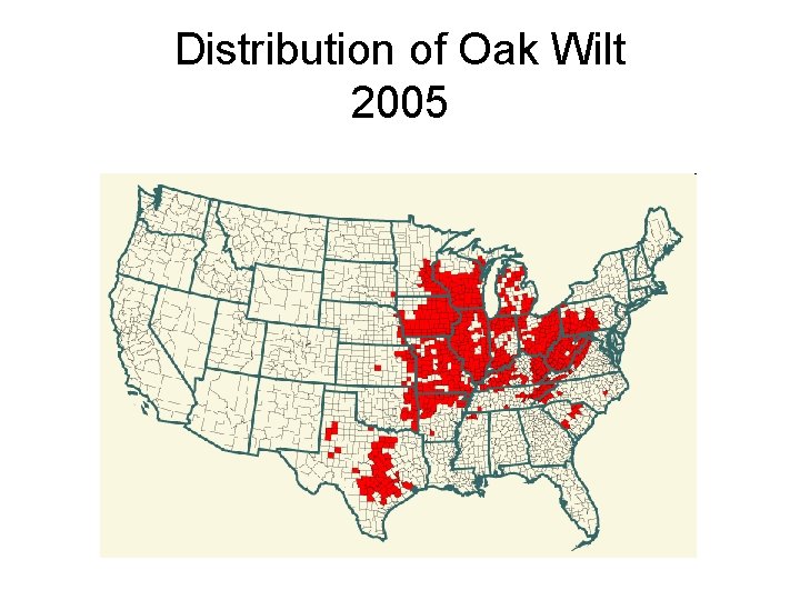 Distribution of Oak Wilt 2005 
