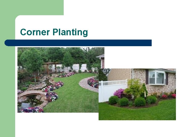 Corner Planting Corner Planting