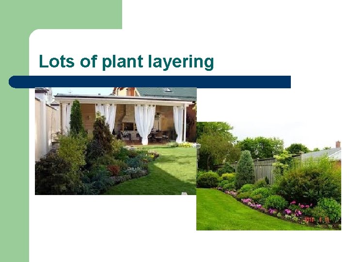 Lots of plant layering Lots of plant layering