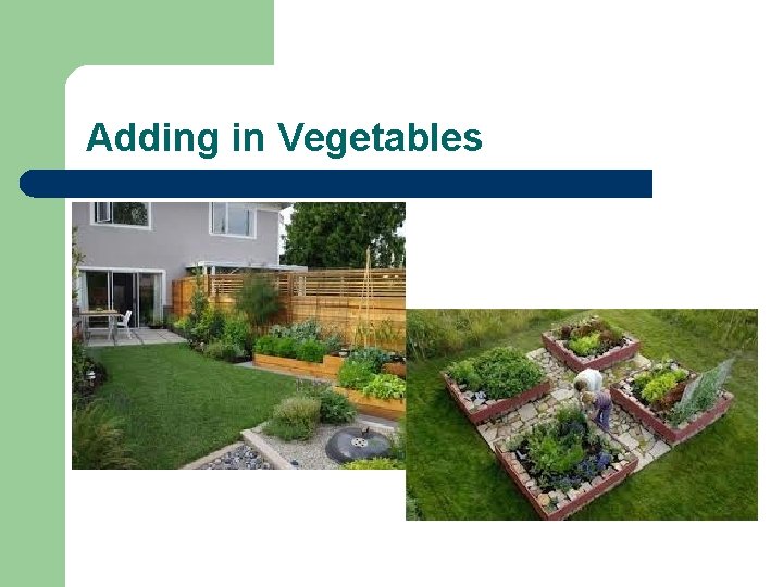 Adding in Vegetables Adding in Vegetables