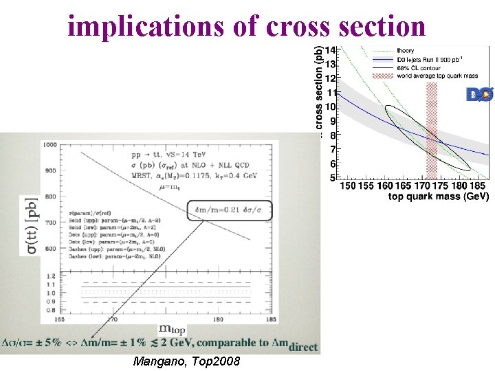 implications of cross section Mangano, Top 2008 