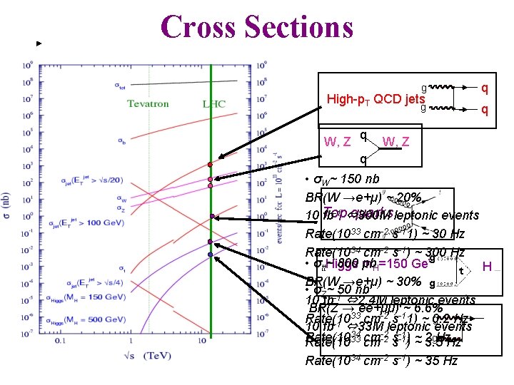 Cross Sections g q High-p. T QCD jets W, Z q • σW~ 150