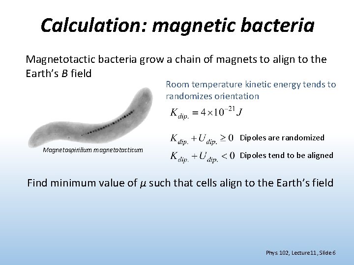 Calculation: magnetic bacteria Magnetotactic bacteria grow a chain of magnets to align to the
