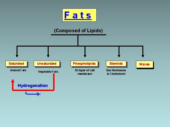 Fats (Composed of Lipids) Saturated Unsaturated Animal Fats Vegetable Fats Hydrogenation ـﭽــــﺔ Phospholipids Steroids