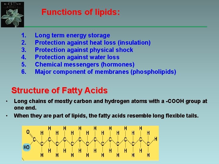 Functions of lipids: 1. 2. 3. 4. 5. 6. Long term energy storage Protection