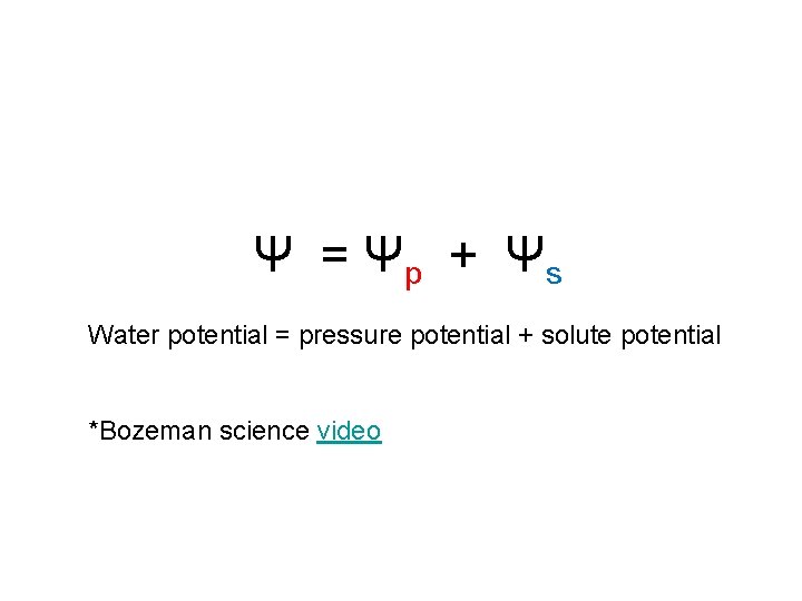 Ψ = Ψp + Ψs Water potential = pressure potential + solute potential *Bozeman