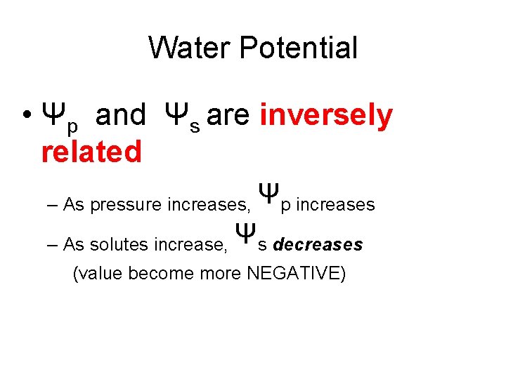 Water Potential • Ψp and Ψs are inversely related – As pressure increases, Ψp