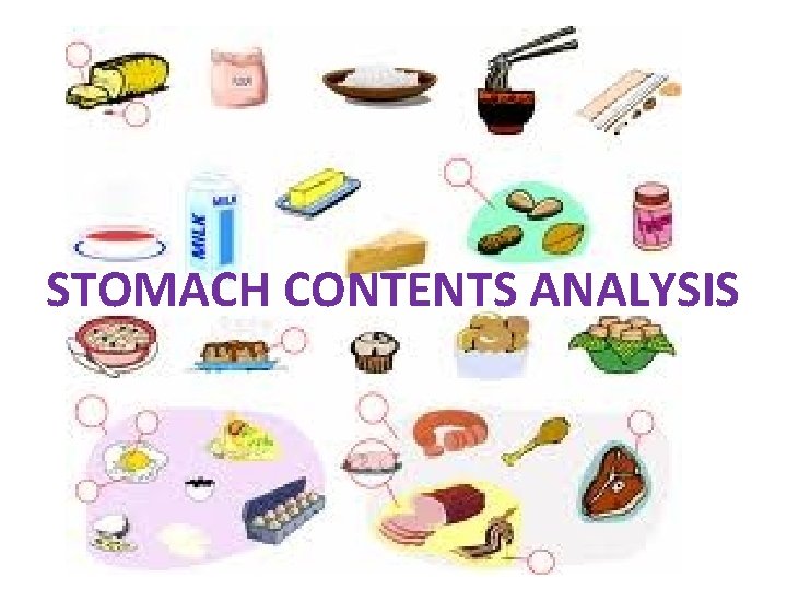 STOMACH CONTENTS ANALYSIS 