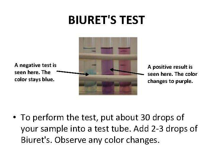 BIURET'S TEST A negative test is seen here. The color stays blue. A positive