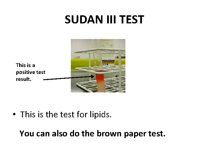 SUDAN III TEST This is a positive test result. • This is the test