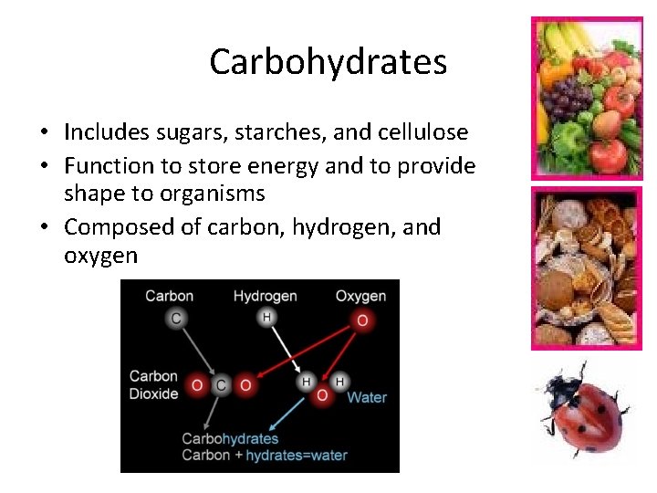 Carbohydrates • Includes sugars, starches, and cellulose • Function to store energy and to