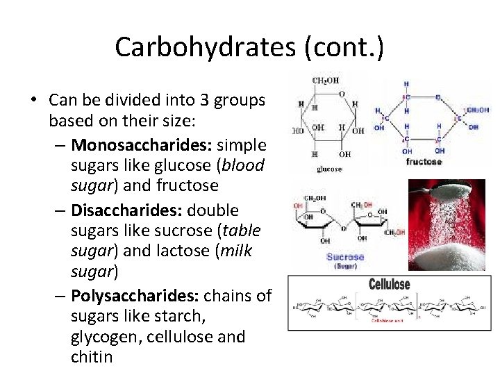 Carbohydrates (cont. ) • Can be divided into 3 groups based on their size: