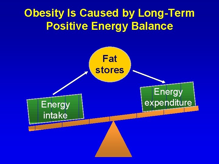 Obesity Is Caused by Long-Term Positive Energy Balance Fat stores Energy intake Energy expenditure