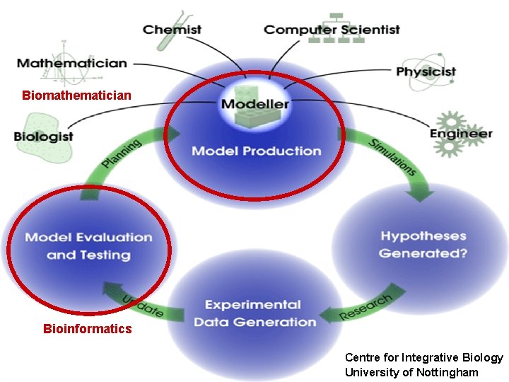 Biomathematician Bioinformatics Centre for Integrative Biology University of Nottingham 