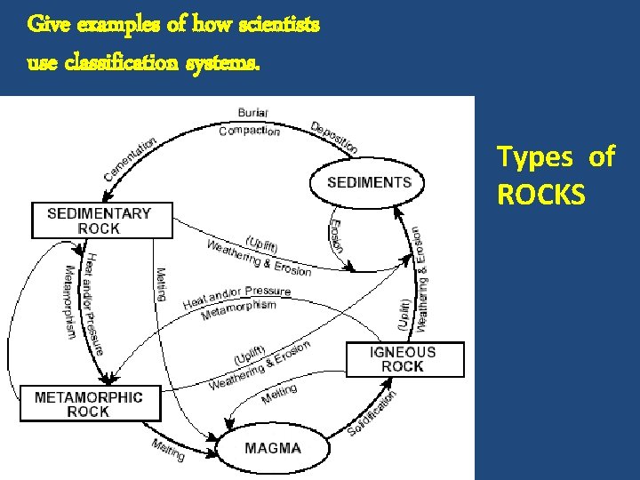 Give examples of how scientists use classification systems. Types of ROCKS 