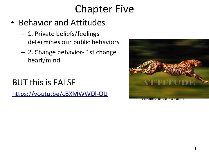 Chapter Five • Behavior and Attitudes – 1. Private beliefs/feelings determines our public behaviors