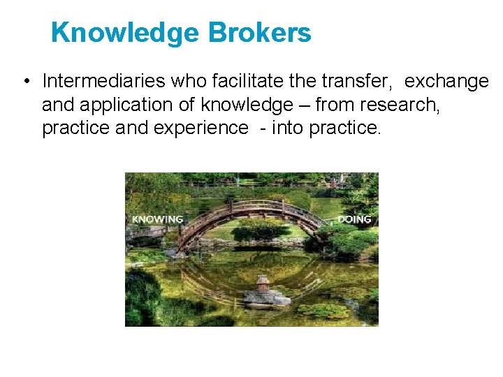 Knowledge Brokers • Intermediaries who facilitate the transfer, exchange and application of knowledge –