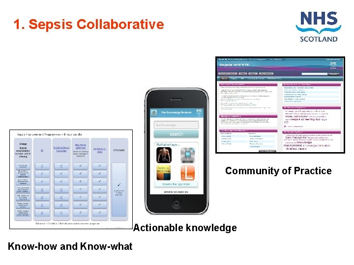 1. Sepsis Collaborative Community of Practice Actionable knowledge Know-how and Know-what 