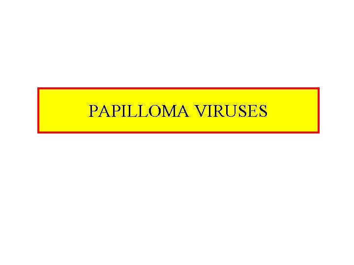 PAPILLOMA VIRUSES 