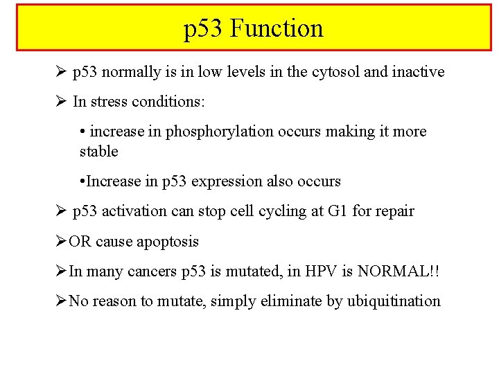 p 53 Function Ø p 53 normally is in low levels in the cytosol