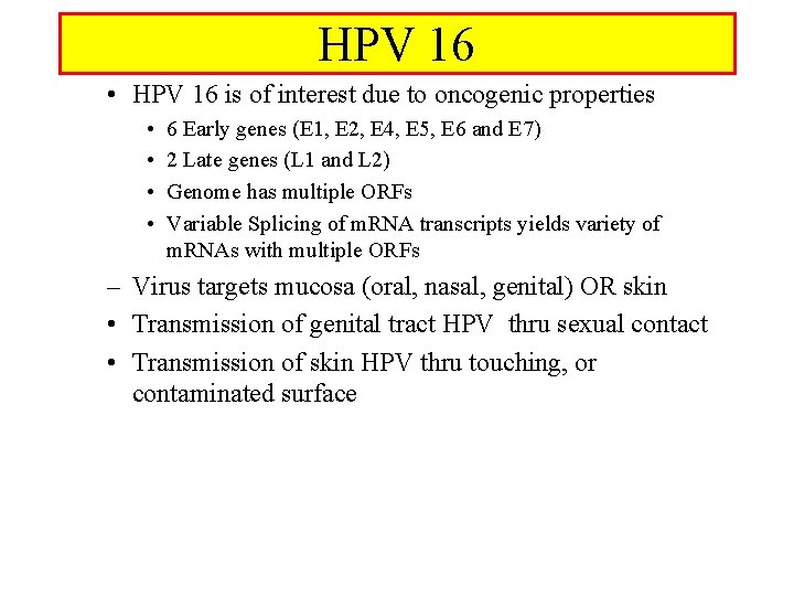 HPV 16 • HPV 16 is of interest due to oncogenic properties • •