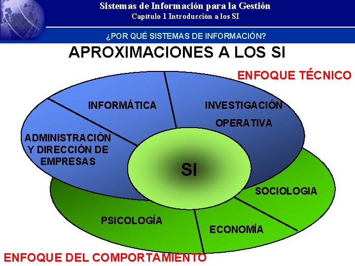 Sistemas de Información para la Gestión Capítulo 1 Introducción a los SI ¿POR QUÉ