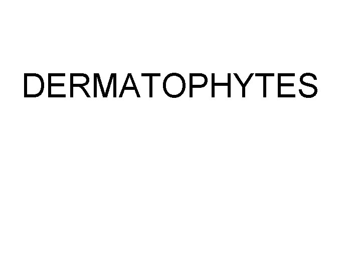DERMATOPHYTES DERMATOPHYTES