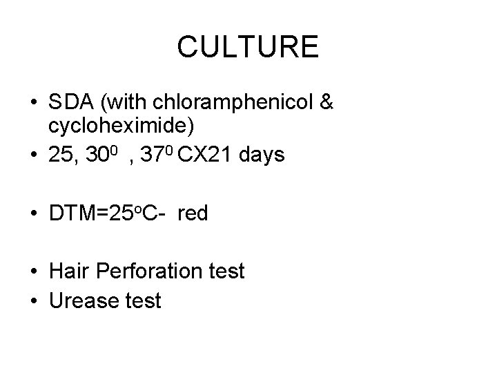 CULTURE • SDA (with chloramphenicol & cycloheximide) • 25, 300 , 370 CX 21 CULTURE • SDA (with chloramphenicol & cycloheximide) • 25, 300 , 370 CX 21