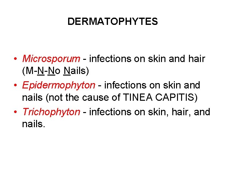 DERMATOPHYTES • Microsporum - infections on skin and hair (M-N-No Nails) • Epidermophyton - DERMATOPHYTES • Microsporum - infections on skin and hair (M-N-No Nails) • Epidermophyton -