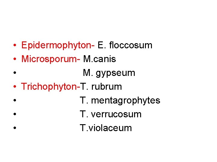 • Epidermophyton- E. floccosum • Microsporum- M. canis • M. gypseum • Trichophyton-T. • Epidermophyton- E. floccosum • Microsporum- M. canis • M. gypseum • Trichophyton-T.