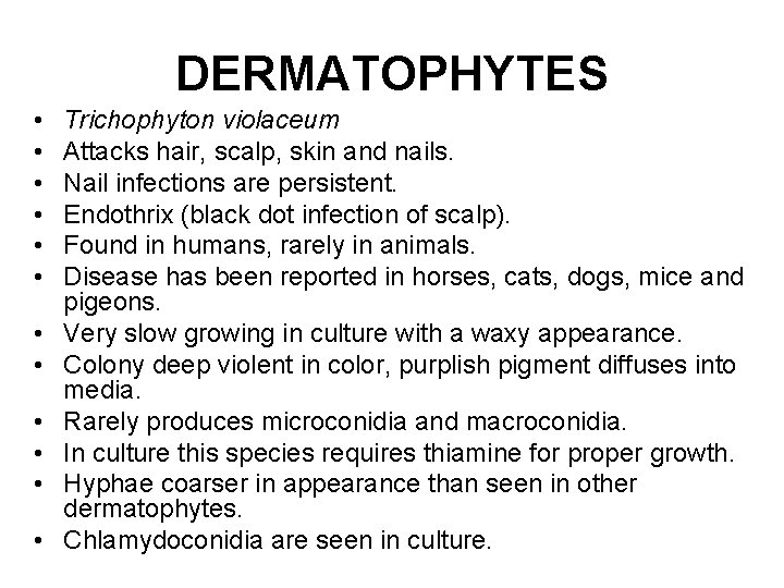 DERMATOPHYTES • • • Trichophyton violaceum Attacks hair, scalp, skin and nails. Nail infections DERMATOPHYTES • • • Trichophyton violaceum Attacks hair, scalp, skin and nails. Nail infections