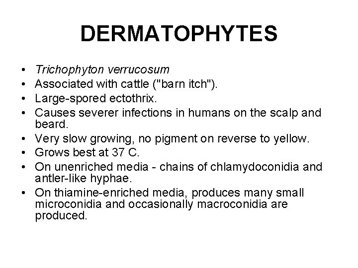 DERMATOPHYTES • • Trichophyton verrucosum Associated with cattle ("barn itch"). Large-spored ectothrix. Causes severer DERMATOPHYTES • • Trichophyton verrucosum Associated with cattle ("barn itch"). Large-spored ectothrix. Causes severer