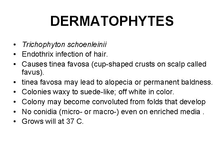 DERMATOPHYTES • Trichophyton schoenleinii • Endothrix infection of hair. • Causes tinea favosa (cup-shaped DERMATOPHYTES • Trichophyton schoenleinii • Endothrix infection of hair. • Causes tinea favosa (cup-shaped