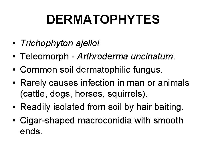DERMATOPHYTES • • Trichophyton ajelloi Teleomorph - Arthroderma uncinatum. Common soil dermatophilic fungus. Rarely DERMATOPHYTES • • Trichophyton ajelloi Teleomorph - Arthroderma uncinatum. Common soil dermatophilic fungus. Rarely