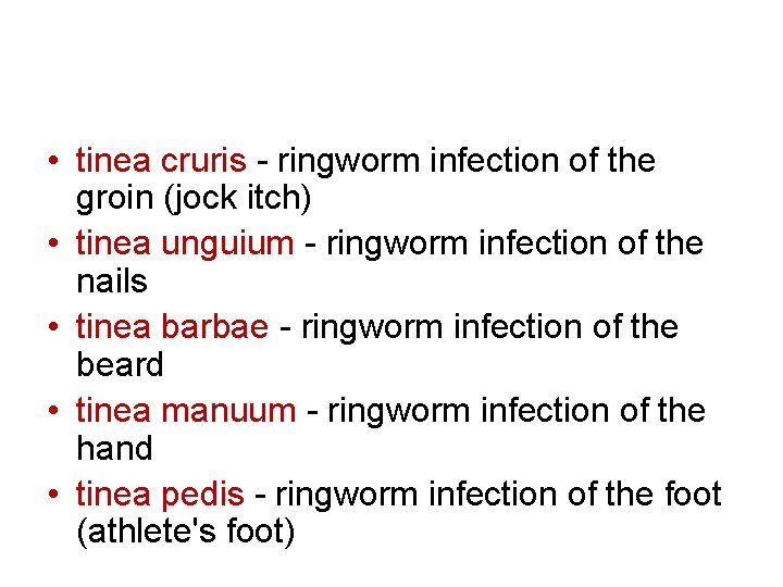 • tinea cruris - ringworm infection of the groin (jock itch) • tinea • tinea cruris - ringworm infection of the groin (jock itch) • tinea