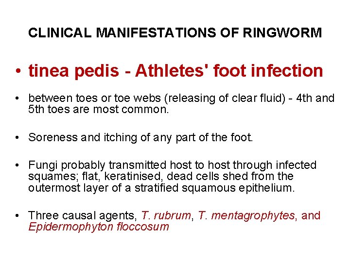 CLINICAL MANIFESTATIONS OF RINGWORM • tinea pedis - Athletes' foot infection • between toes CLINICAL MANIFESTATIONS OF RINGWORM • tinea pedis - Athletes' foot infection • between toes