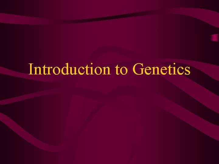 Introduction to Genetics 