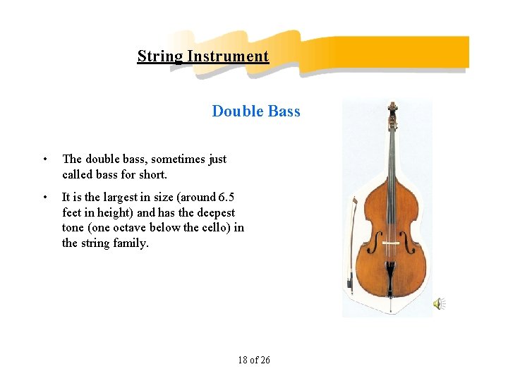 String Instrument Double Bass • The double bass, sometimes just called bass for short.