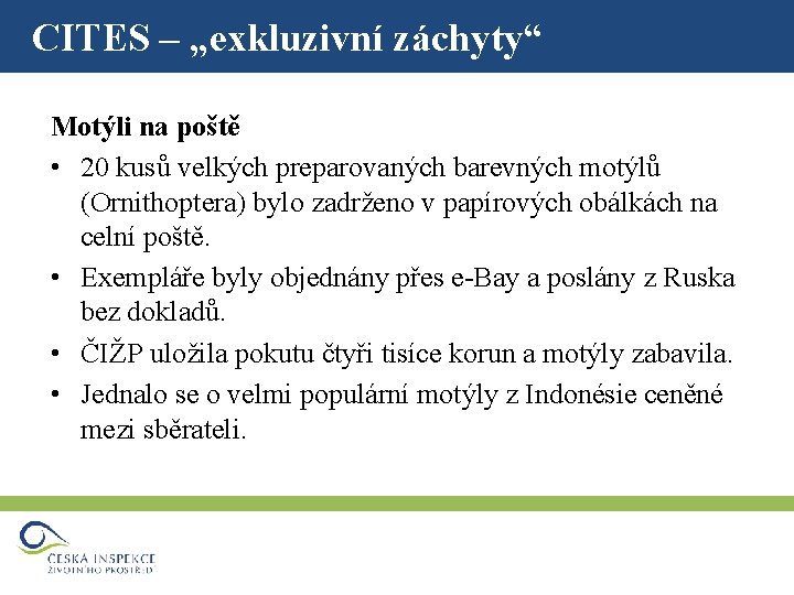 CITES – „exkluzivní záchyty“ Motýli na poště • 20 kusů velkých preparovaných barevných motýlů