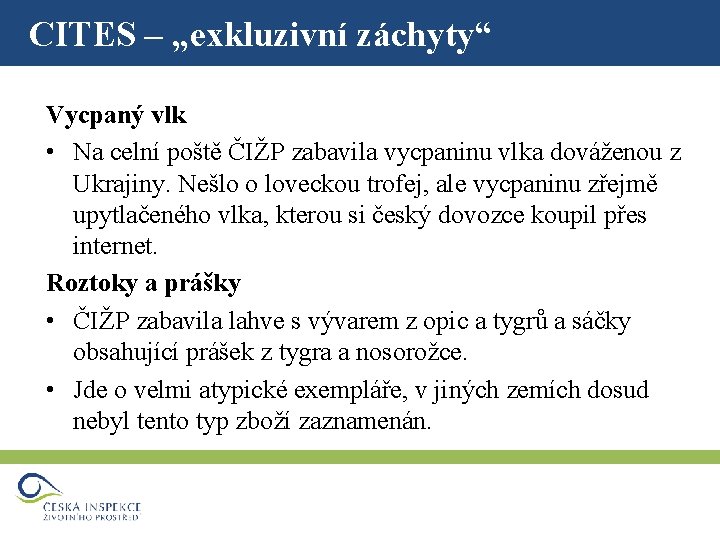 CITES – „exkluzivní záchyty“ Vycpaný vlk • Na celní poště ČIŽP zabavila vycpaninu vlka