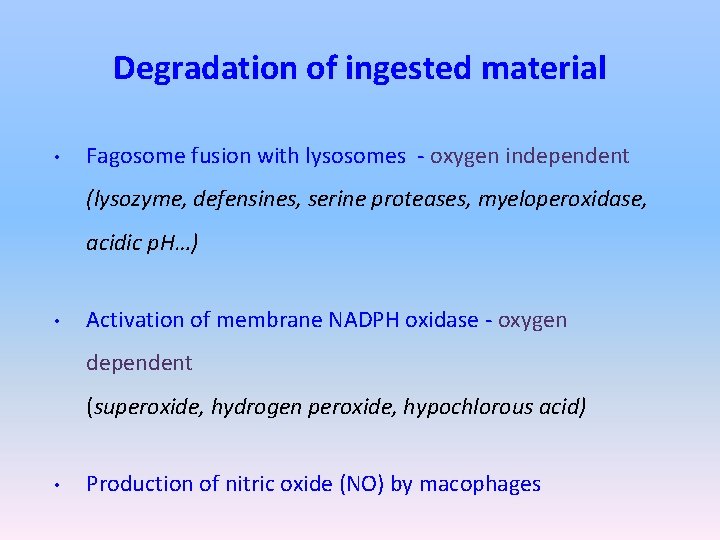Degradation of ingested material • Fagosome fusion with lysosomes - oxygen independent (lysozyme, defensines,